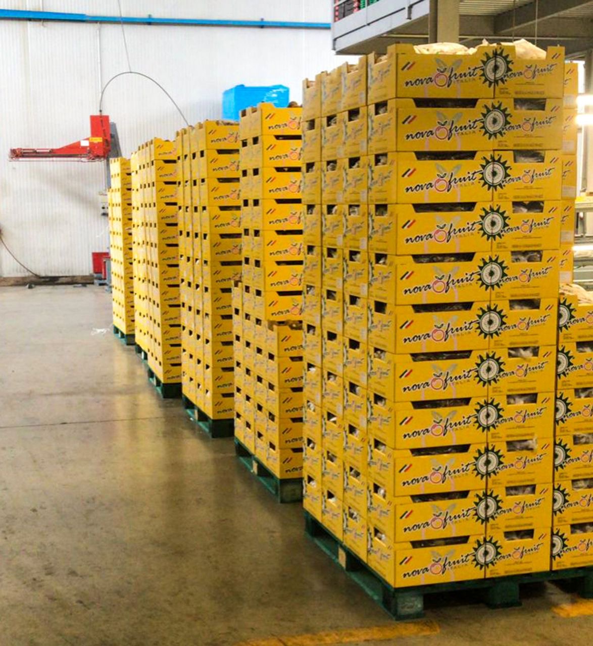 منتجات غذائية