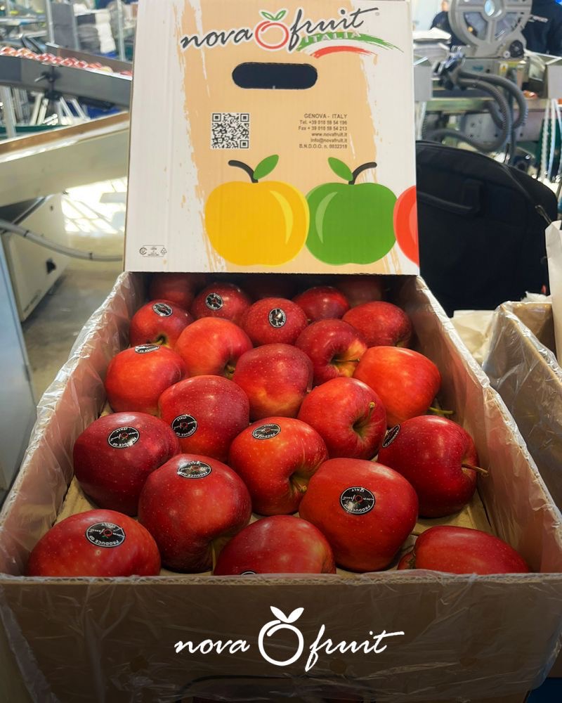 منتجات غذائية