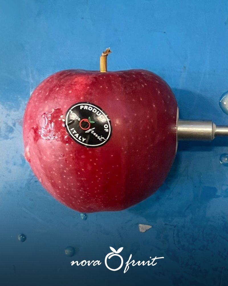 منتجات غذائية