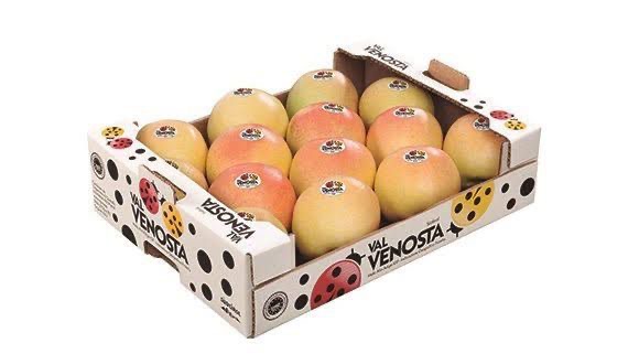 منتجات غذائية